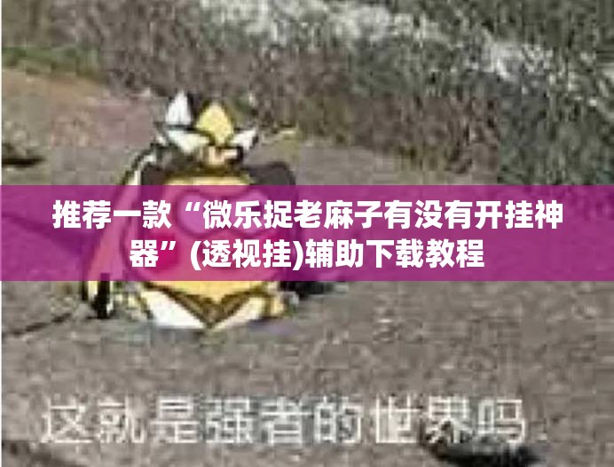 推荐一款“微乐捉老麻子有没有开挂神器”(透视挂)辅助下载教程
