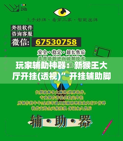 玩家辅助神器：新猴王大厅开挂(透视)	”开挂辅助脚本+详细开挂安装教程