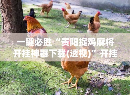 一键必胜“贵阳捉鸡麻将开挂神器下载(透视)”开挂辅助脚本+详细开挂安装教程