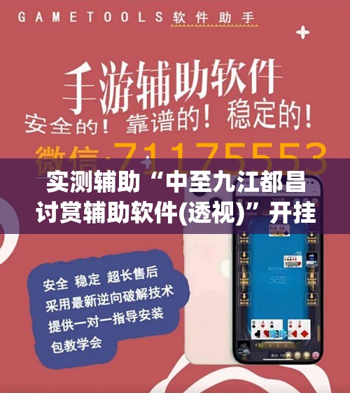 实测辅助“中至九江都昌讨赏辅助软件(透视)”开挂辅助脚本+详细开挂安装教程