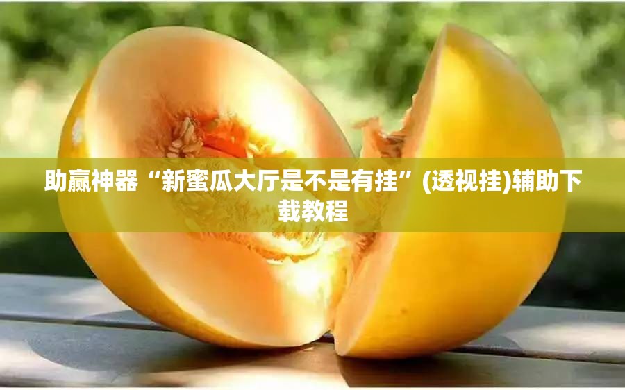助赢神器“新蜜瓜大厅是不是有挂”(透视挂)辅助下载教程
