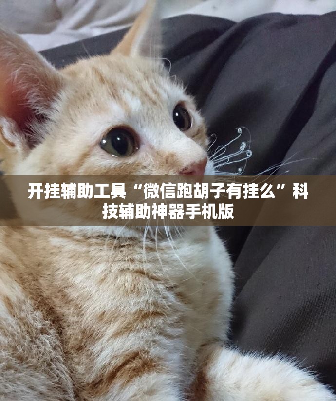 开挂辅助工具“微信跑胡子有挂么”科技辅助神器手机版