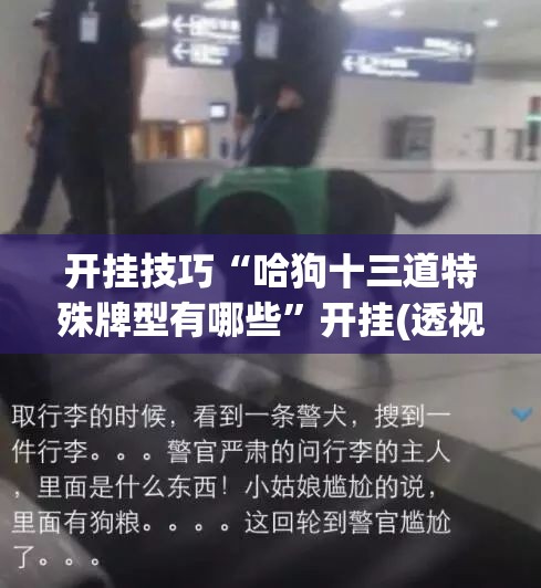 开挂技巧“哈狗十三道特殊牌型有哪些”开挂(透视)最新辅助详细