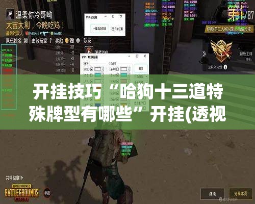 开挂技巧“哈狗十三道特殊牌型有哪些”开挂(透视)最新辅助详细
