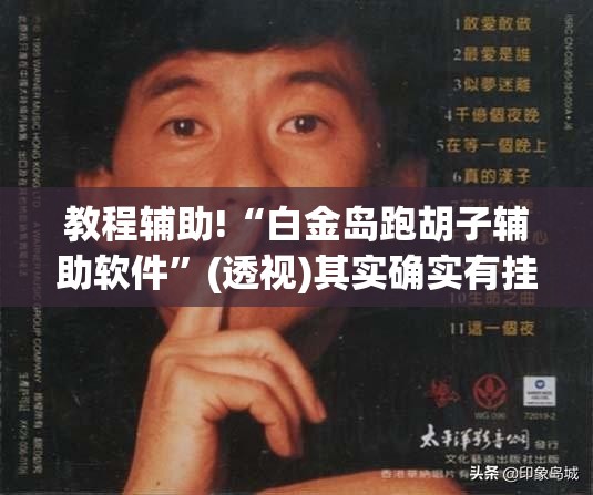 教程辅助!“白金岛跑胡子辅助软件”(透视)其实确实有挂