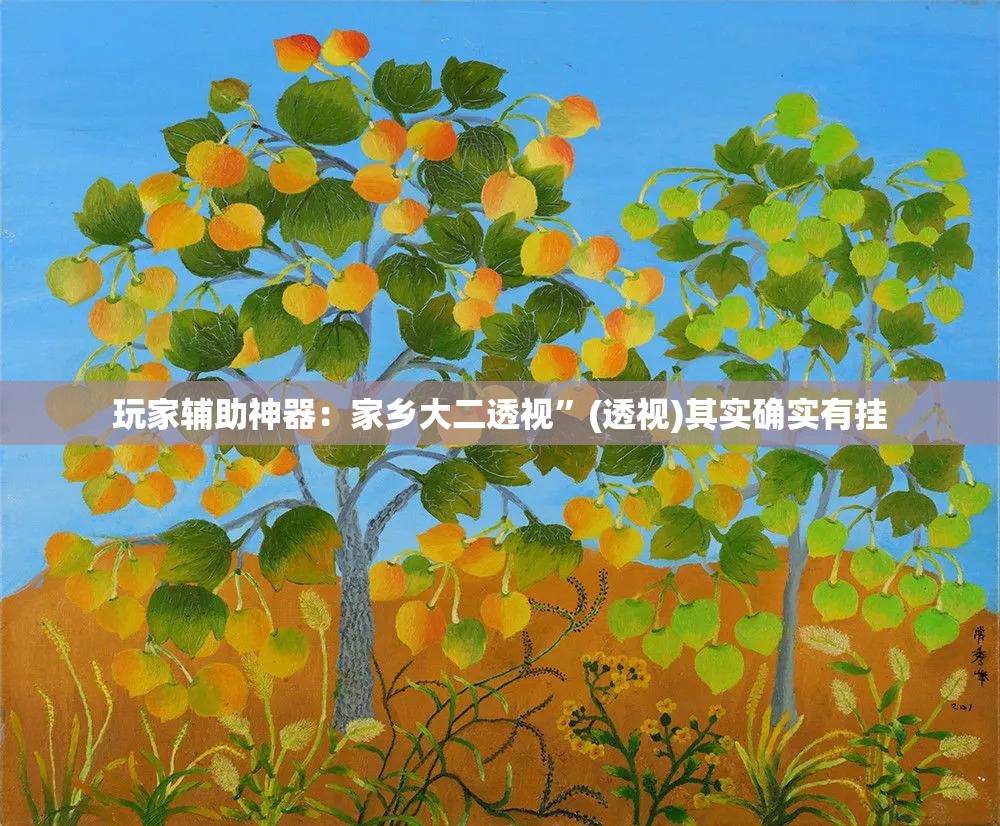 玩家辅助神器：家乡大二透视	”(透视)其实确实有挂