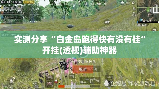 实测分享“白金岛跑得快有没有挂	”开挂(透视)辅助神器