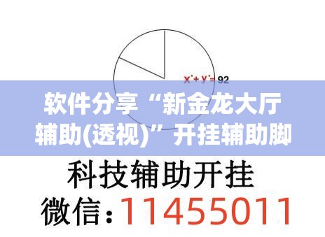 软件分享“新金龙大厅辅助(透视)”开挂辅助脚本+详细开挂安装教程