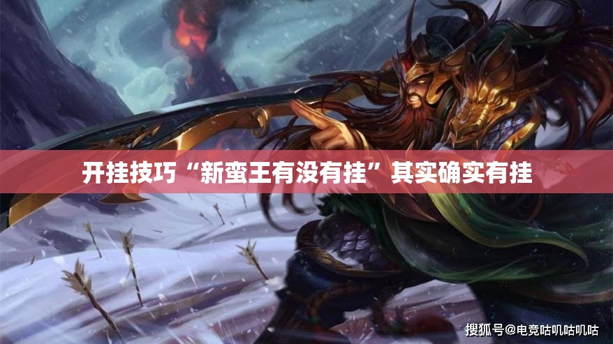 开挂技巧“新蛮王有没有挂”其实确实有挂
