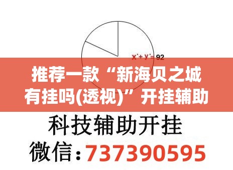 推荐一款“新海贝之城有挂吗(透视)”开挂辅助脚本+详细开挂安装教程
