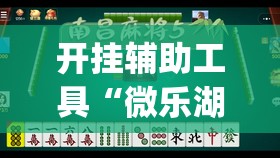 开挂辅助工具“微乐湖北麻将小程序怎么开挂”开挂(透视)最新辅助详细