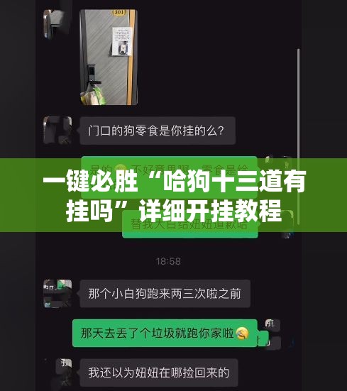 一键必胜“哈狗十三道有挂吗”详细开挂教程