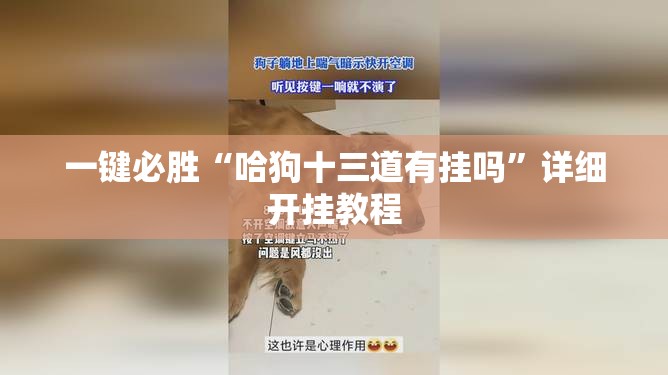 一键必胜“哈狗十三道有挂吗	”详细开挂教程