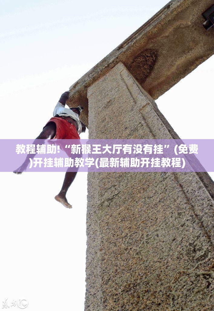 教程辅助!“新猴王大厅有没有挂	”(免费)开挂辅助教学(最新辅助开挂教程)