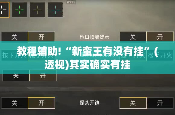 教程辅助!“新蛮王有没有挂	”(透视)其实确实有挂