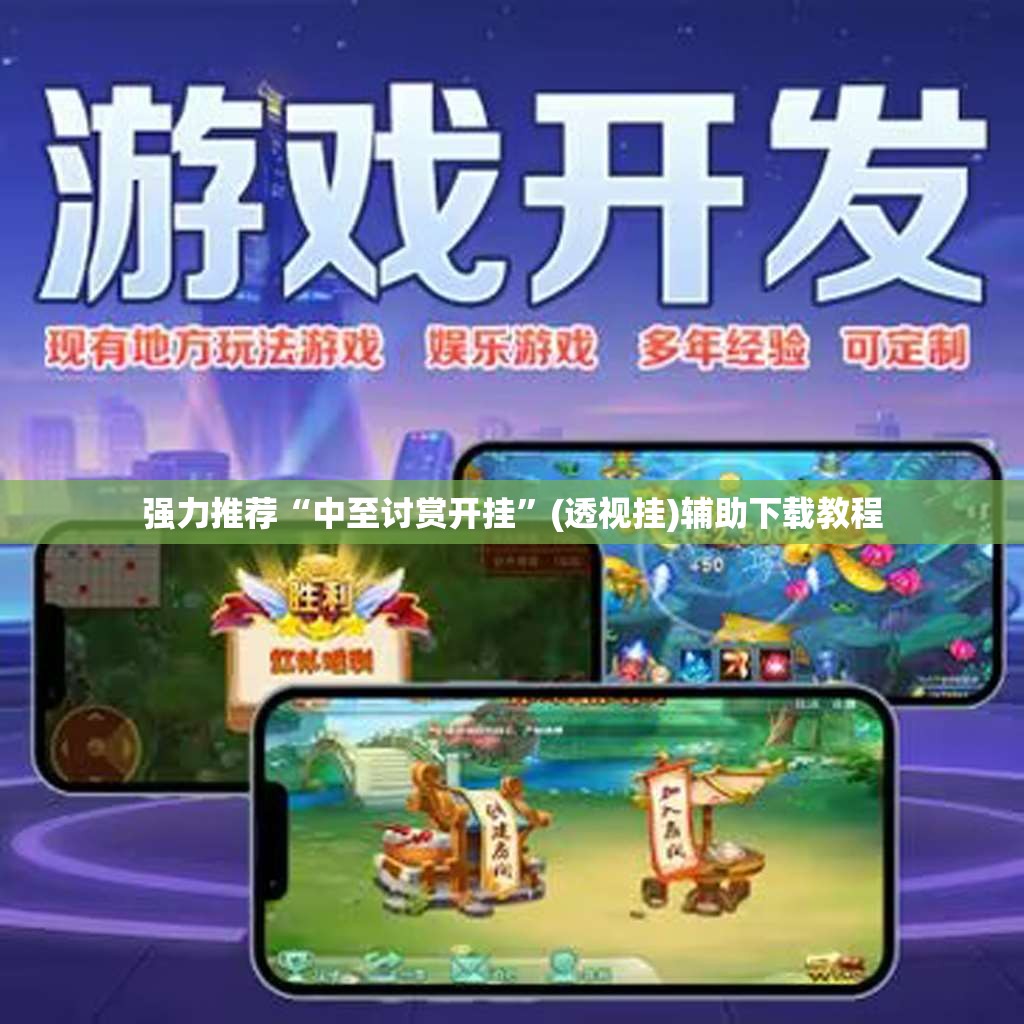 强力推荐“中至讨赏开挂”(透视挂)辅助下载教程