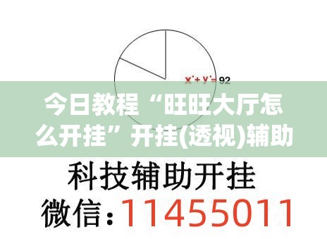 今日教程“旺旺大厅怎么开挂”开挂(透视)辅助神器