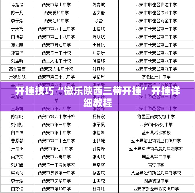 开挂技巧“微乐陕西三带开挂”开挂详细教程