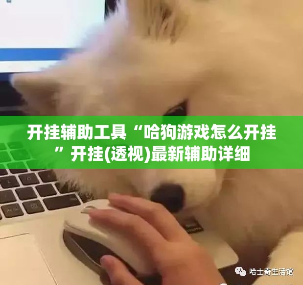 开挂辅助工具“哈狗游戏怎么开挂	”开挂(透视)最新辅助详细
