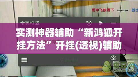 实测神器辅助“新鸿狐开挂方法”开挂(透视)辅助教程