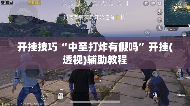 开挂技巧“中至打炸有假吗”开挂(透视)辅助教程