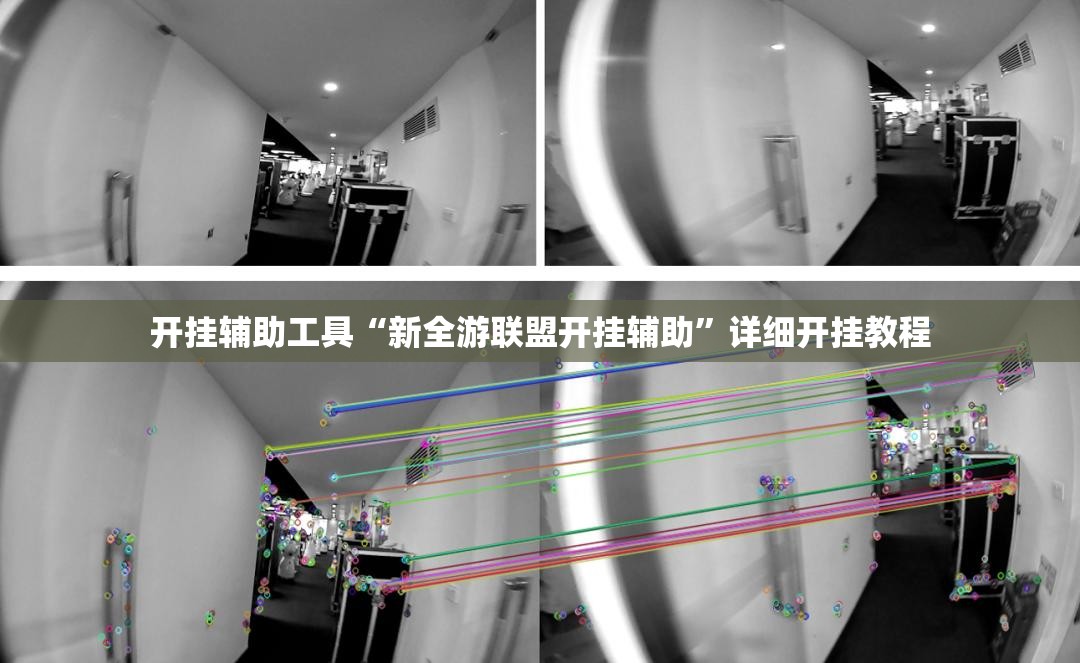 开挂辅助工具“新全游联盟开挂辅助”详细开挂教程