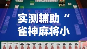 实测辅助“雀神麻将小程序免费开挂器”其实确实有挂