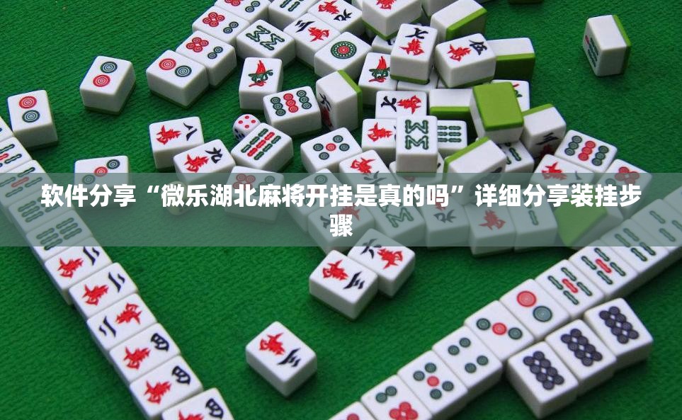 软件分享“微乐湖北麻将开挂是真的吗	”详细分享装挂步骤