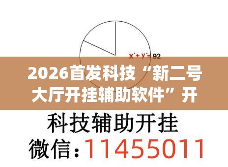 2026首发科技“新二号大厅开挂辅助软件”开挂(透视)辅助教程