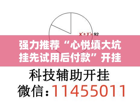 强力推荐“心悦填大坑挂先试用后付款	”开挂辅助脚本+详细开挂安装教程