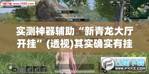实测神器辅助“新青龙大厅开挂”(透视)其实确实有挂