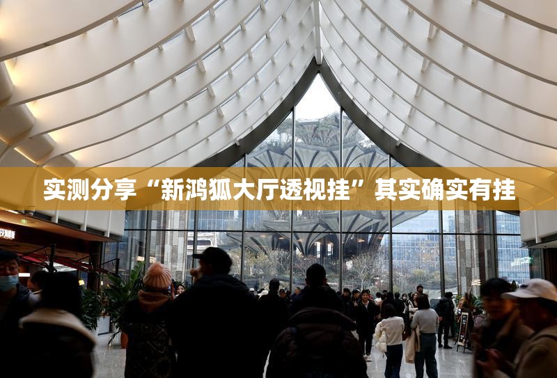 实测分享“新鸿狐大厅透视挂”其实确实有挂