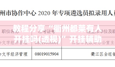 教程分享“衢州都莱有人开挂吗(透视)”开挂辅助脚本+详细开挂安装教程