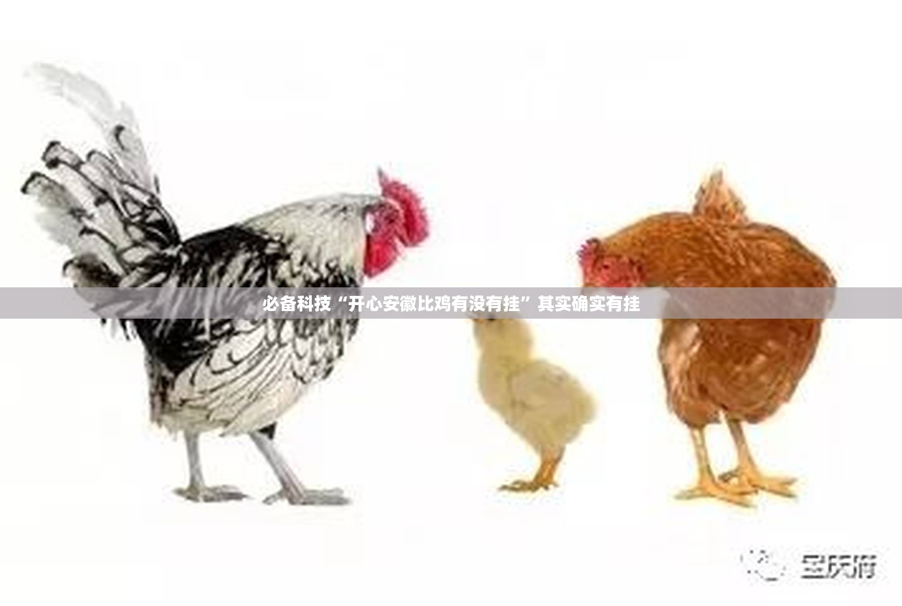 必备科技“开心安徽比鸡有没有挂	”其实确实有挂