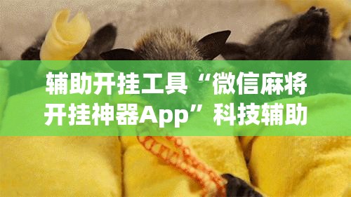 辅助开挂工具“微信麻将开挂神器App”科技辅助神器手机版