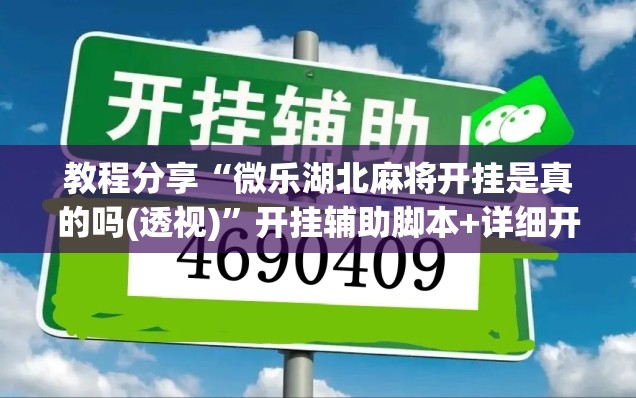 教程分享“微乐湖北麻将开挂是真的吗(透视)”开挂辅助脚本+详细开挂安装教程