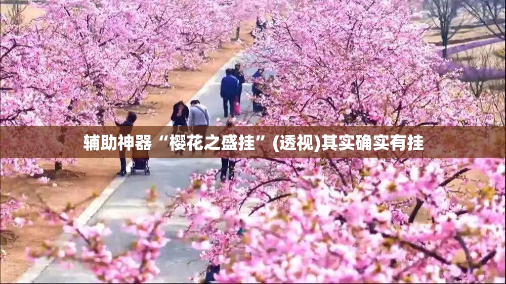 辅助神器“樱花之盛挂”(透视)其实确实有挂