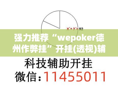 强力推荐“wepoker德州作弊挂”开挂(透视)辅助神器