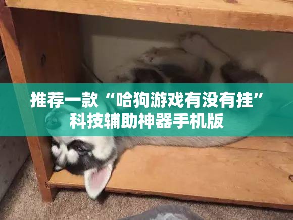 推荐一款“哈狗游戏有没有挂	”科技辅助神器手机版