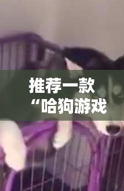 推荐一款“哈狗游戏有没有挂”科技辅助神器手机版