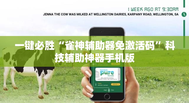 一键必胜“雀神辅助器免激活码	”科技辅助神器手机版