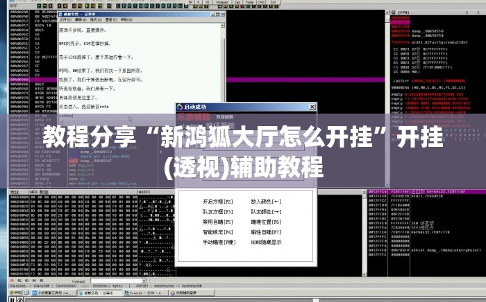 教程分享“新鸿狐大厅怎么开挂”开挂(透视)辅助教程