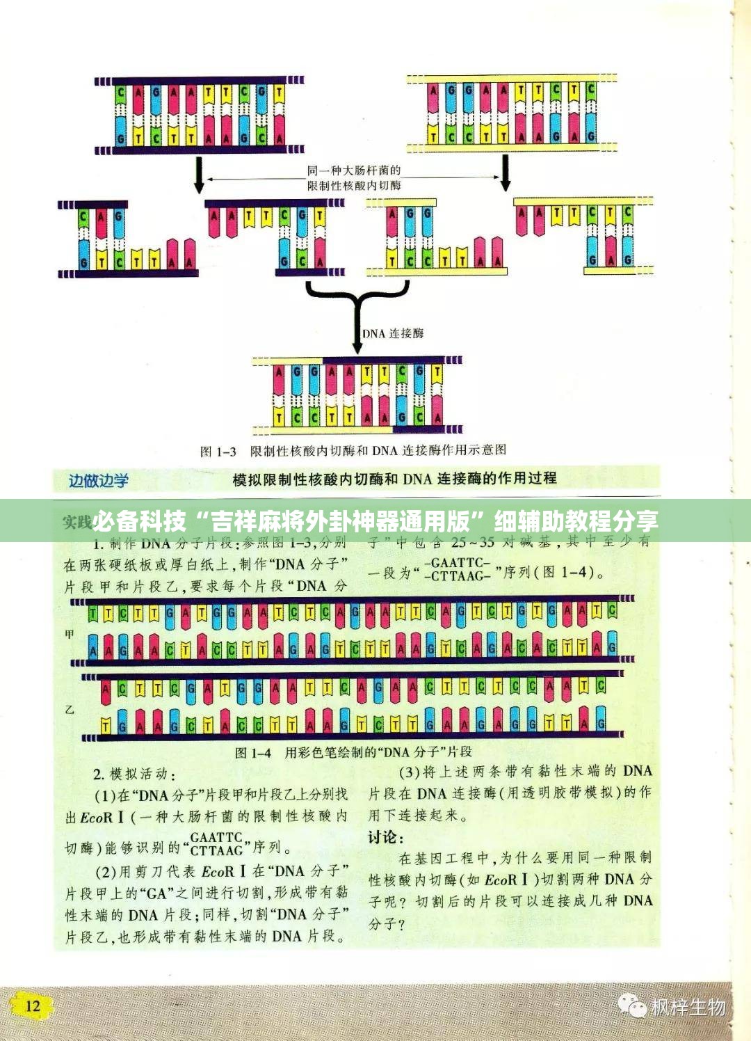 必备科技“吉祥麻将外卦神器通用版”细辅助教程分享