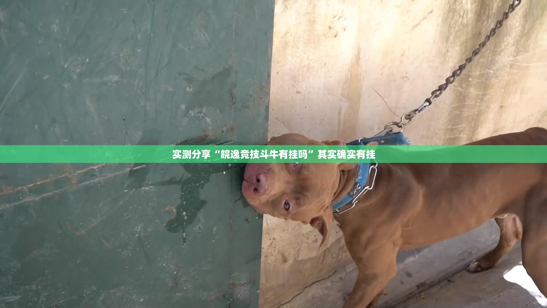 实测分享“皖逸竞技斗牛有挂吗	”其实确实有挂