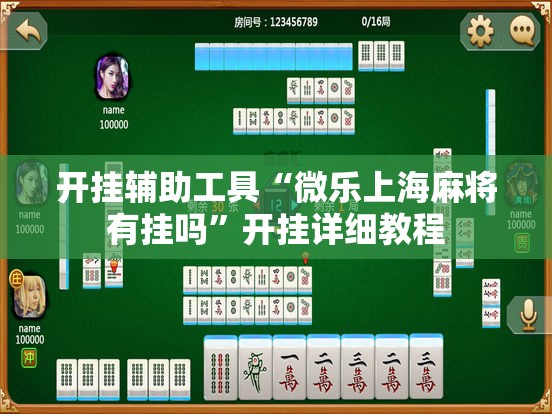 开挂辅助工具“微乐上海麻将有挂吗”开挂详细教程