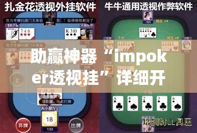 助赢神器“impoker透视挂”详细开挂教程