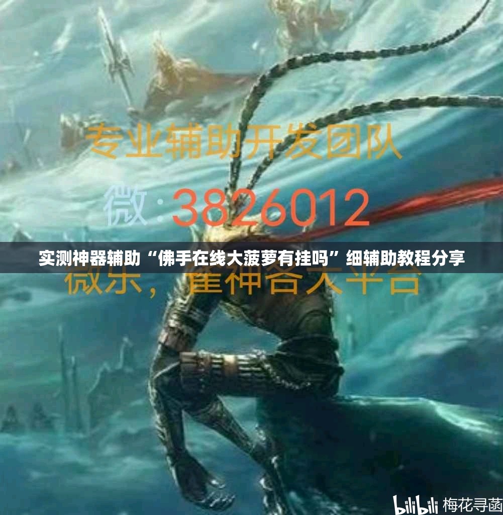 实测神器辅助“佛手在线大菠萝有挂吗”细辅助教程分享