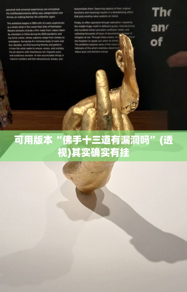 可用版本“佛手十三道有漏洞吗	”(透视)其实确实有挂