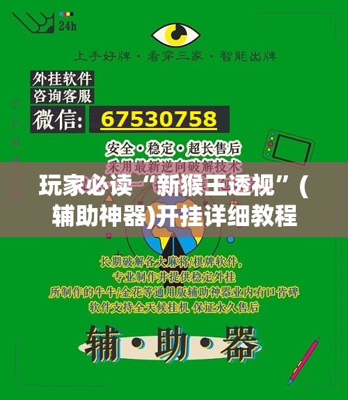 玩家必读“新猴王透视	”(辅助神器)开挂详细教程